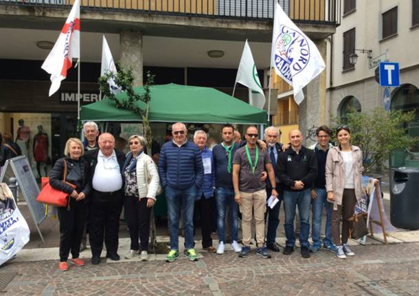 lega gazebo saronno