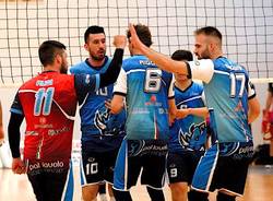 pallavolo saronno