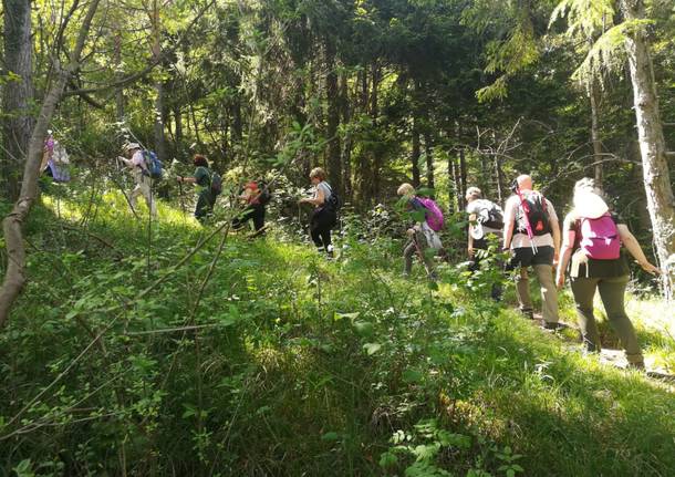 Dalla Rasa al Sacro Monte seguendo le antiche vie