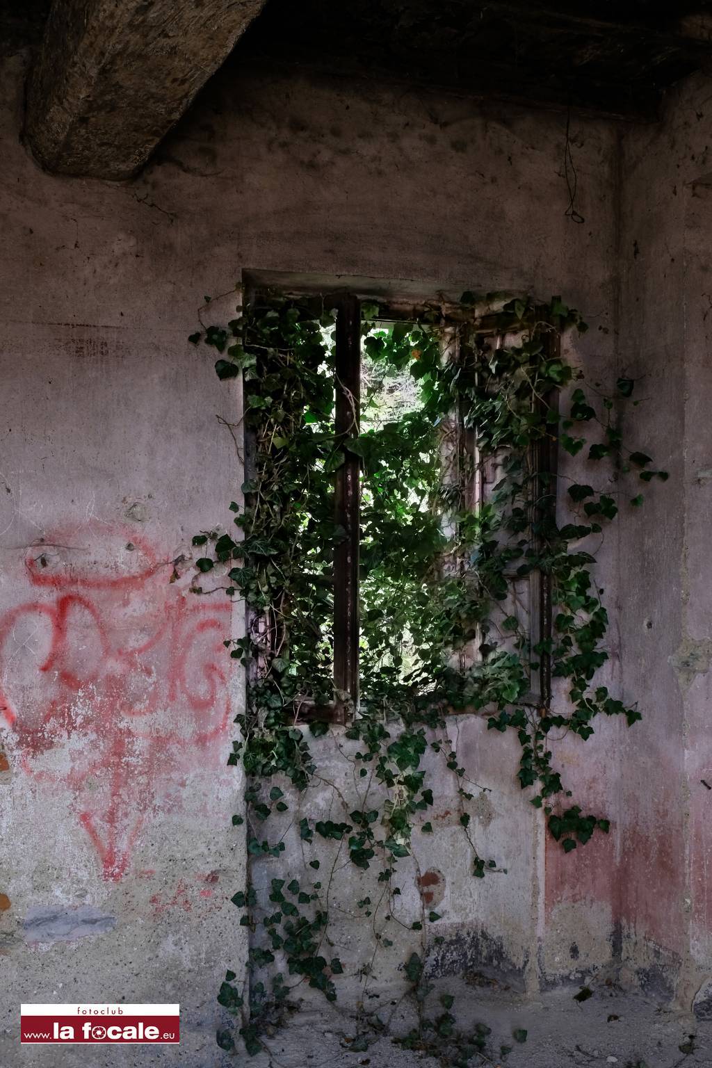 Quattro passi per Galliate Lombardo