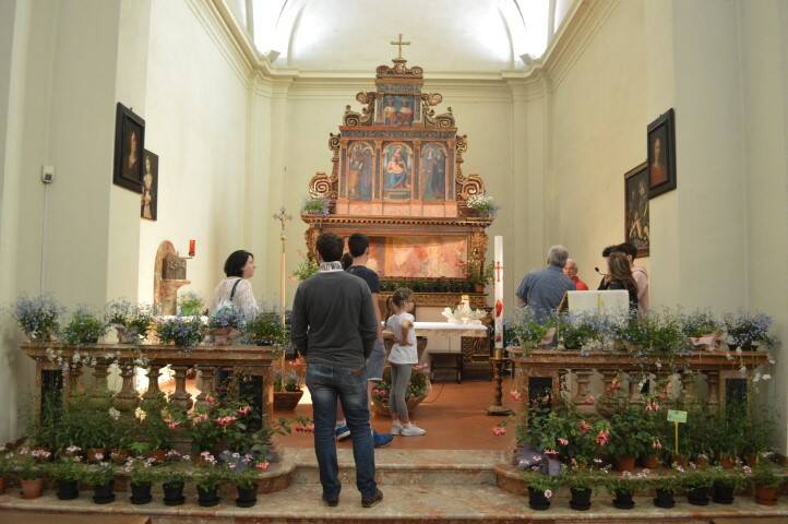 Santuario in Fiore Madonna dio  l sa Parabiago Nerviano  10 