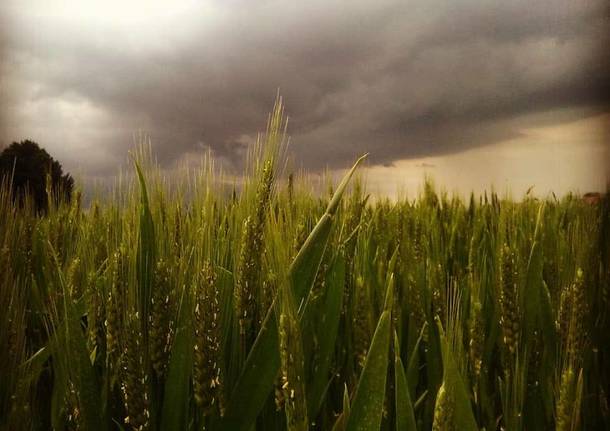 Sesto Calende, prima del temporale
