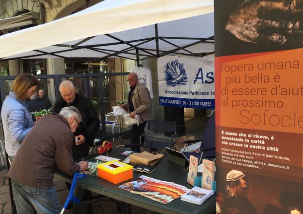 VareseSolidale: i banchetti in corso Matteotti