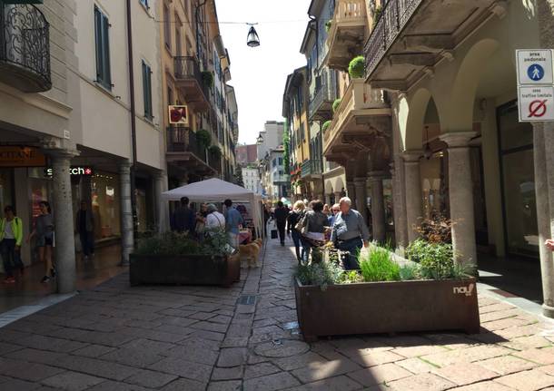 VareseSolidale: i banchetti in corso Matteotti
