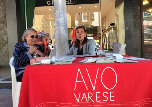 VareseSolidale: i banchetti in corso Matteotti