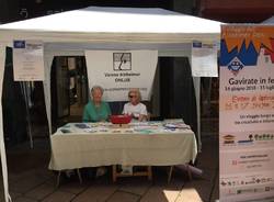 VareseSolidale: i banchetti in corso Matteotti