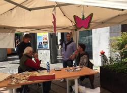 VareseSolidale: i banchetti in corso Matteotti