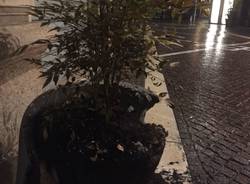 Vasone bruciato via Manzoni 