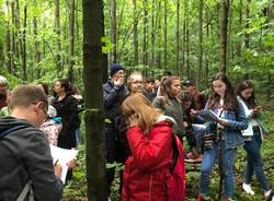 Vedano Olona - Ragazzi e docenti in Polonia per il progetto Green school