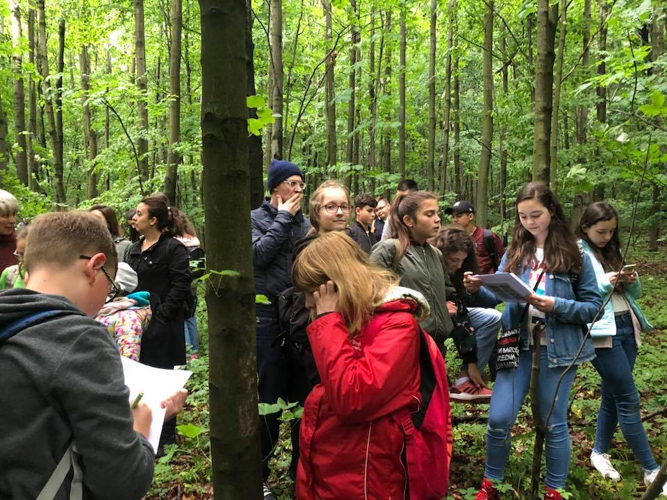 Vedano Olona - Ragazzi e docenti in Polonia per il progetto Green school