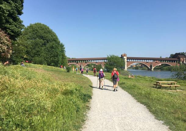 Via Francisca del Lucomagno: ultima tappa tra Motta Visconti e Pavia