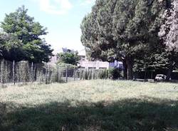 Al Parco di via Giotto erba alta