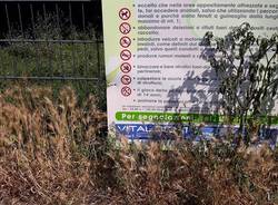 Al Parco di via Giotto erba alta 