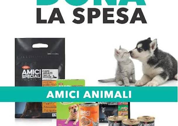 A luino fai la spesa e aiuti gli animali abbandonati Dimensione animali luino