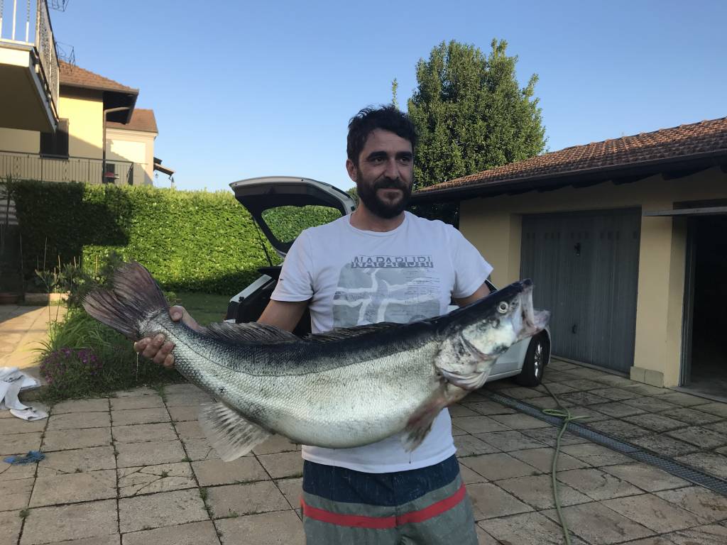 La Sandra più grande del mondo