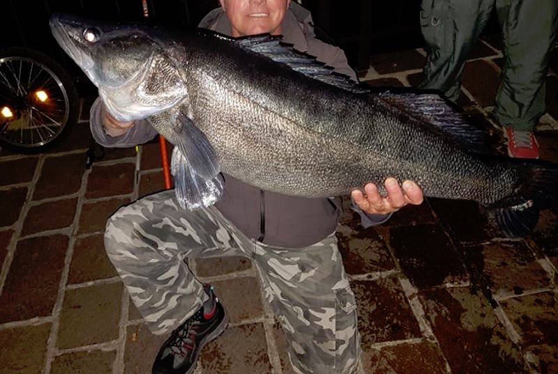 Lago Maggiore, ecco i \"mostri\" dei lettori