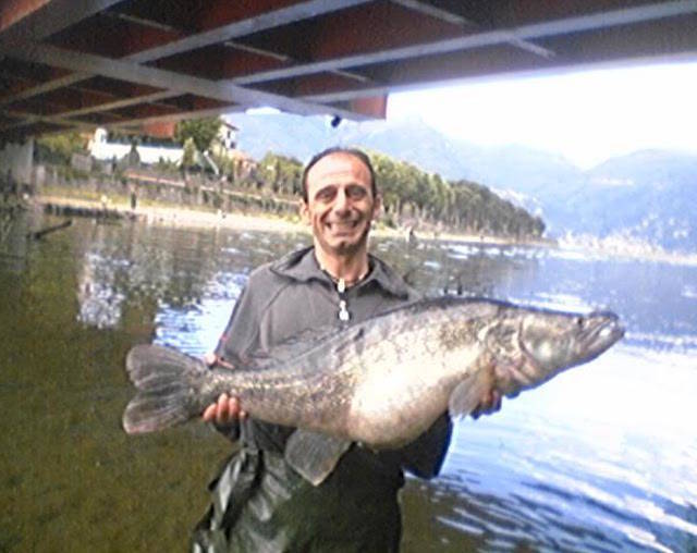 Lago Maggiore, ecco i \"mostri\" dei lettori