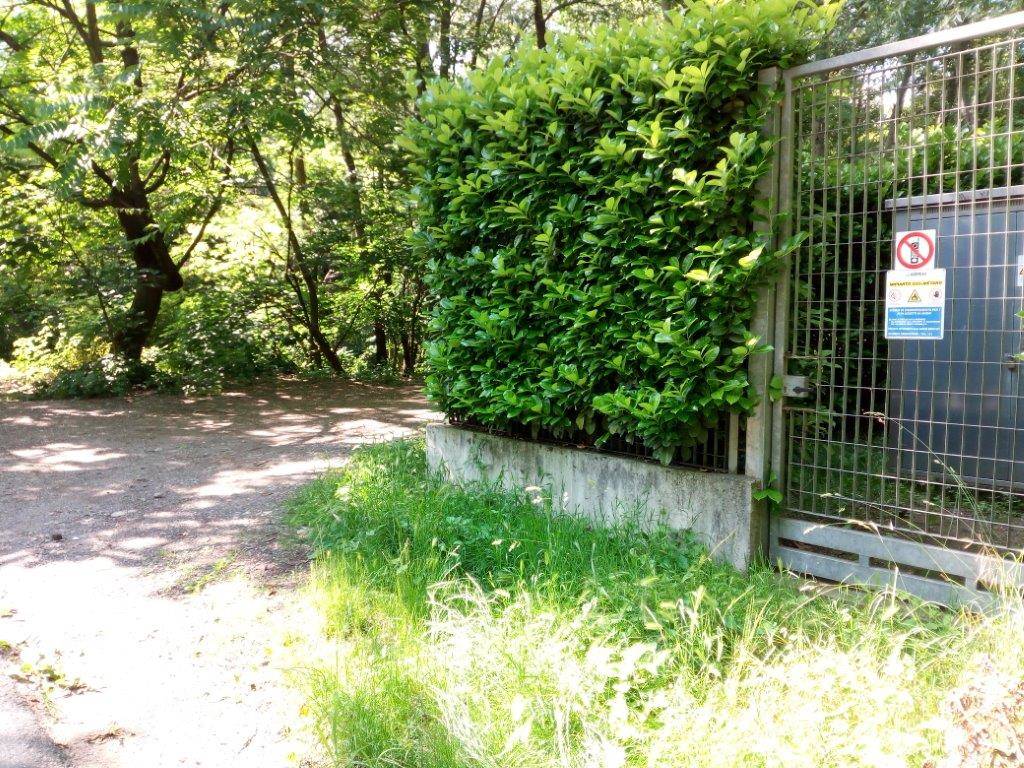 Rifiuti in via Postumia