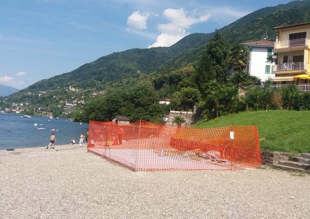 \"No al cemento sulla spiaggia di Zenna\"