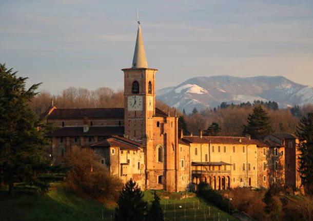 Castiglione Olona - Collegiata