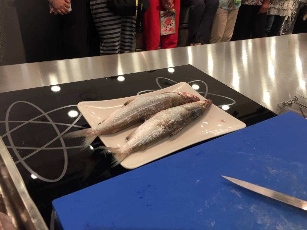 Corsi Tigros 2018: tu sei quel che mangi