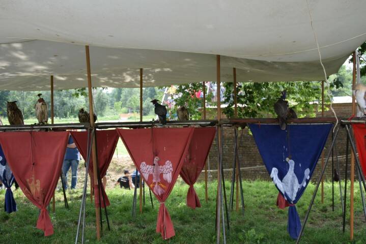 DSC 0142