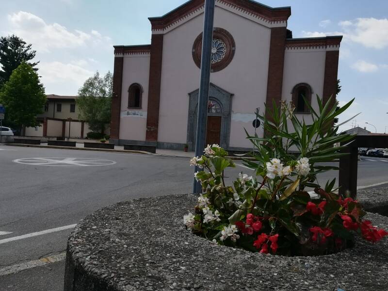 Fiori rubati dalle aiuole biblioteca Cerro Maggiore  12 