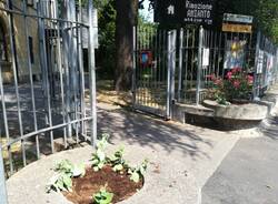 Fiori rubati dalle aiuole biblioteca Cerro Maggiore  2 