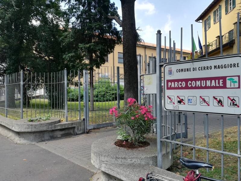 Fiori rubati dalle aiuole biblioteca Cerro Maggiore  5 