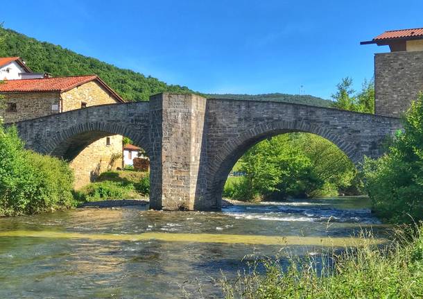 Il cammino fino Santiago: da Zubiri a Pamplona