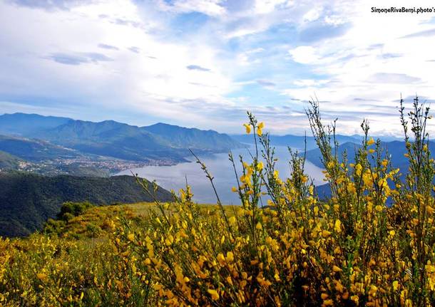 Lago Maggiore dalla Forcora - foto di Simone Riva Berni