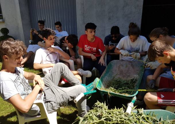legambiente mulini di gurone alternanza