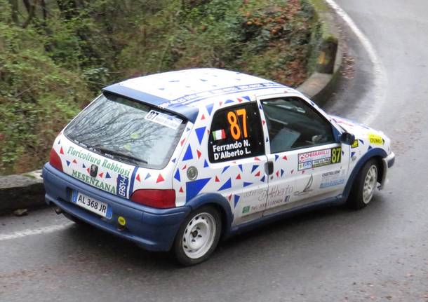 Luca D'Alberto rally