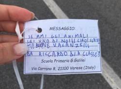 messaggio palloncino