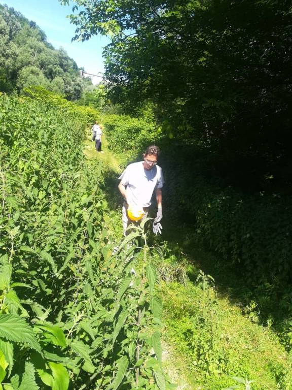 Mulini di Gurone