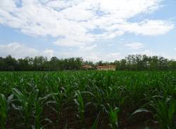 parco altomilanese agricoltura bottega agricola
