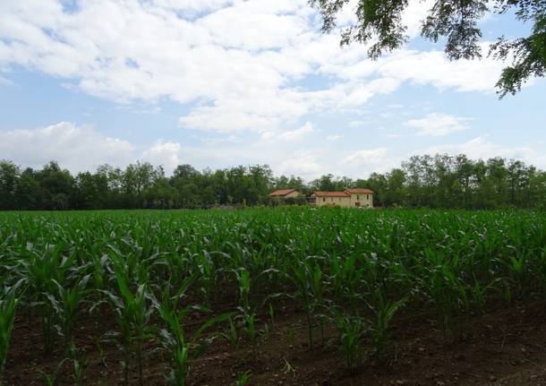 parco altomilanese agricoltura bottega agricola