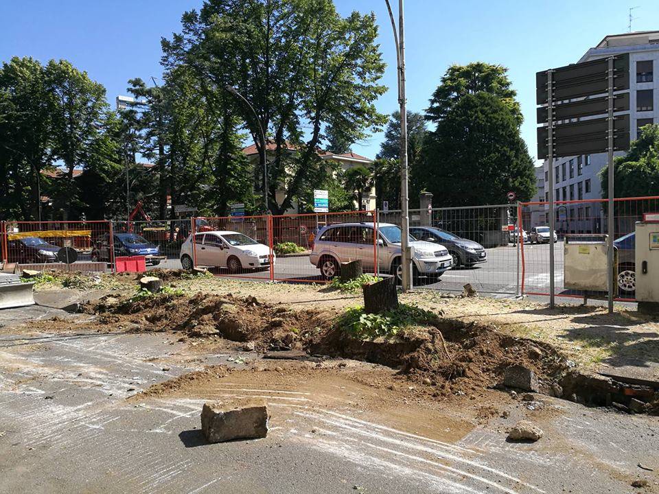 taglio piante viale duca d'aosta busto arsizio