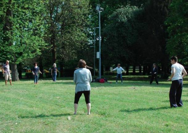 tai chi qi gong