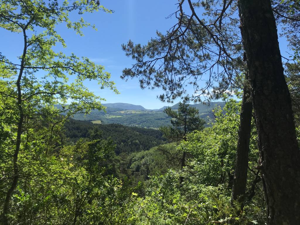 Cammino di Santiago