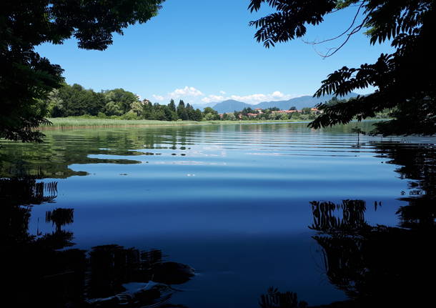 LAGO DI VARESE - ISOLA VIRGINIA