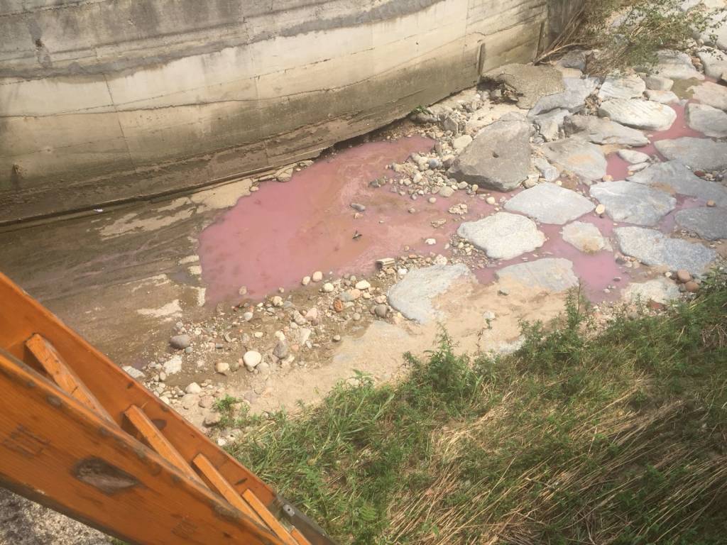 L\'Arnetta ancora rosa