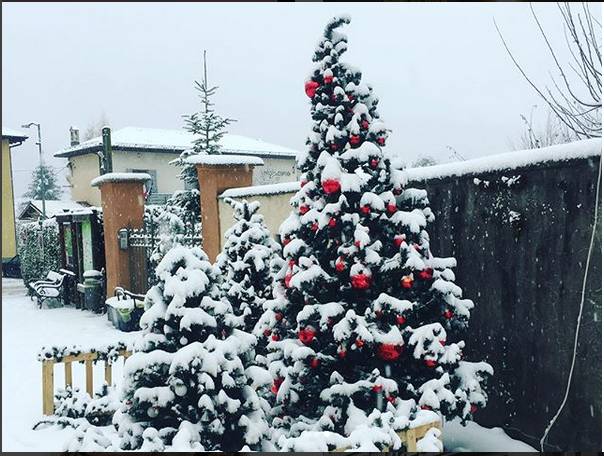 Auguri di Natale in piazza