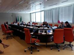 commissione sanità audizione 73 medici