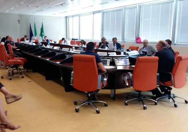 commissione sanità audizione 73 medici