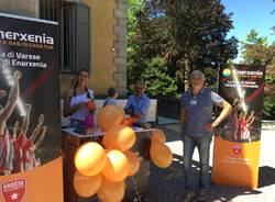 Festa Enerxenia
