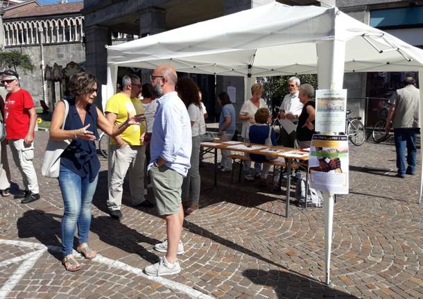 gallarate generico