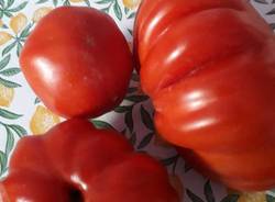 I prodotti dell'orto