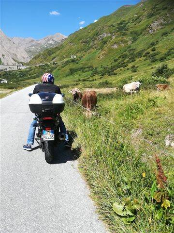 Iincontro ravvicinato
