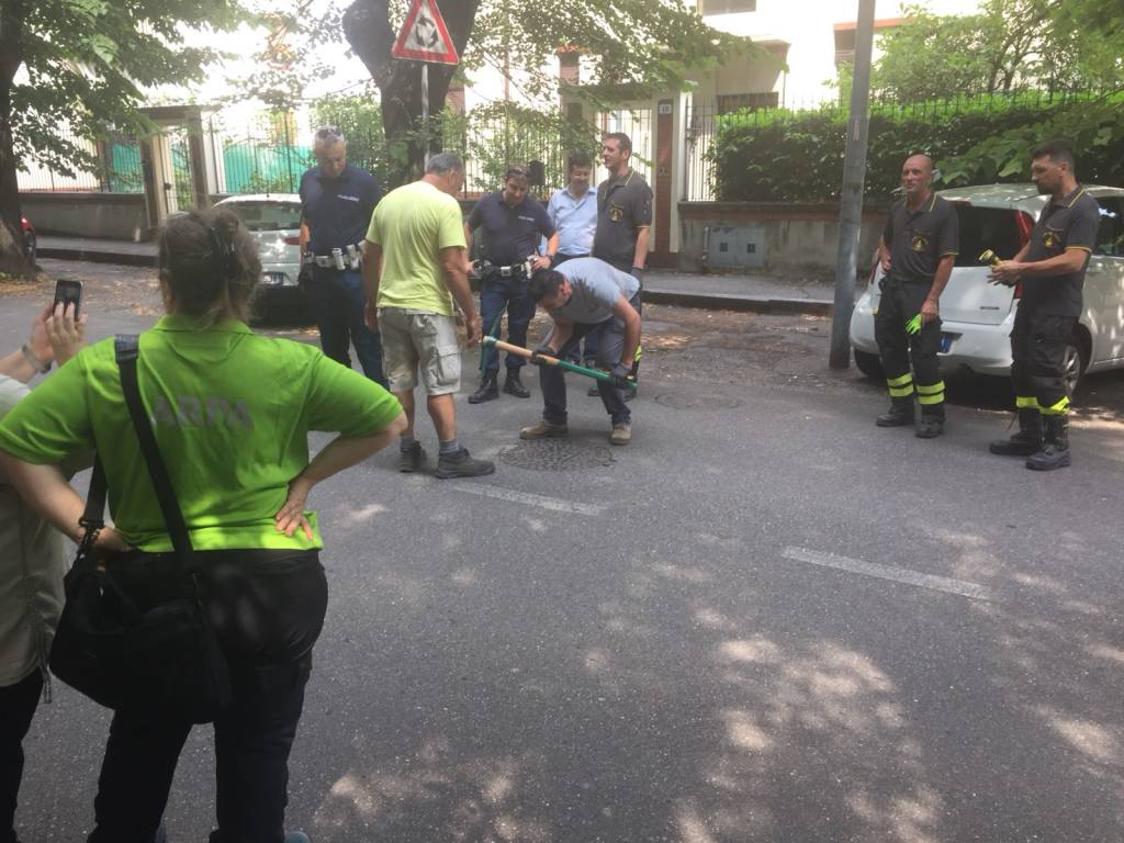 L\'Arnetta ancora rosa